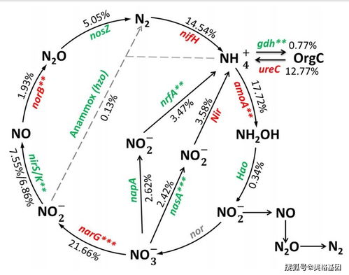 土壤里的秘密：氟乐灵的神奇魔法