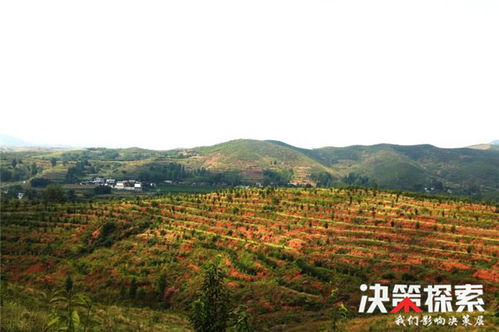 长风破浪会有时 直挂云帆济沧海