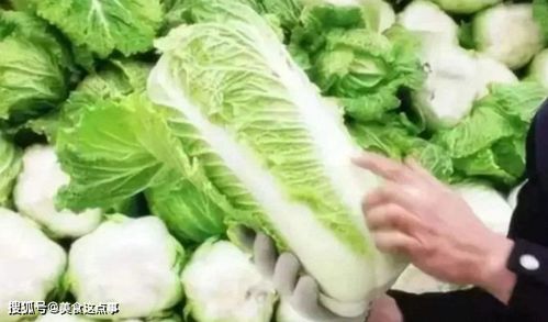 甲维盐，Neng救急吗？