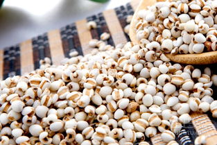 薏米播种前准备：浸泡种子是讲究