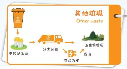 焚烧，埋掉，还是回收