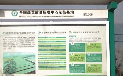 无公害花卉采后标准化处理技术：确保品质，提升市场竞争力