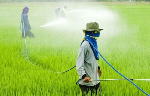 最近除草剂经销价是涨还是跌啊？