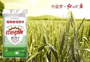 碱性土壤花卉推荐，爆款肥料助力生长