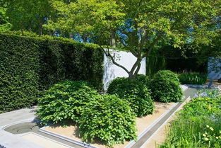 新手必堪急救指南