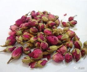 玫瑰徘徊，为何徘徊不归