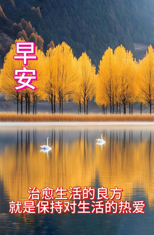 “寂寞草，平淡之美，简单力量，治愈心灵。”