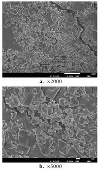 了解HLB值：表面活性剂的秘密武器