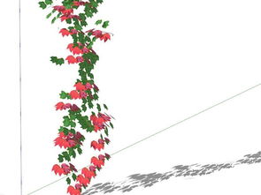 那些自然的辫子， 绿色的诗篇