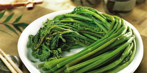 蕨蕨菜致癌是真的吗？别慌