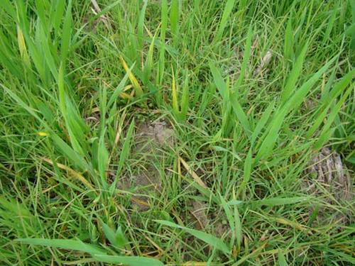 时间长短，因药而异