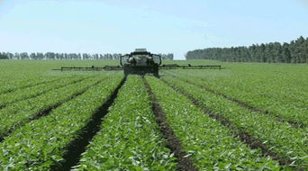 大豆除草剂与磷酸二氢钾的混搭， 作物生长与土壤环境的“爱恨情仇”