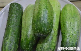 黄瓜的生长习性