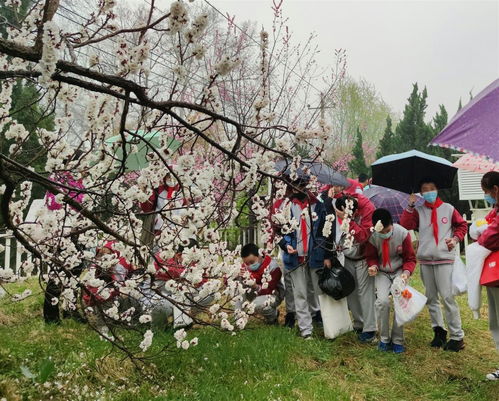 植物园里有什么？跟着这篇文章一起去探寻大自然的奥秘吧