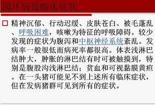 猪场用药风险防控策略
