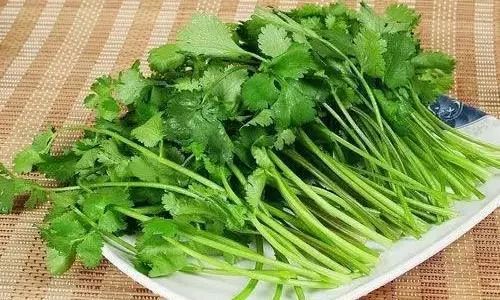 香菜清热解毒，你了解它还有哪些神奇功效吗