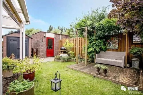 皂荚树的美丽银装，冬天的守护神