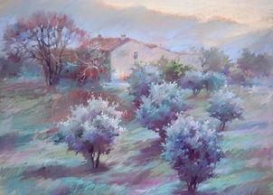 欧石楠高清美图集锦：绚丽花卉视觉盛宴！