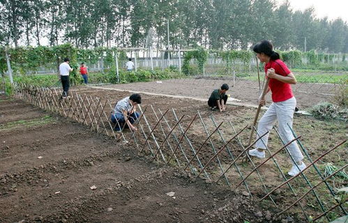 那怎么办呢？有没有啥好办法？