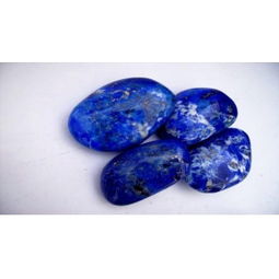 花朵特点：似蓝非蓝， 仙气十足