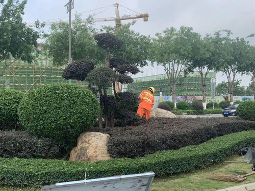 绿化外包费用合理吗？