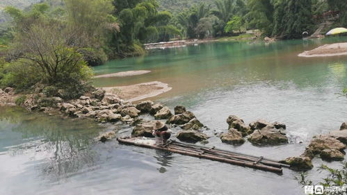 石阡县龙川河流域泉水鱼鳜鱼国家级水产种质资源保护区