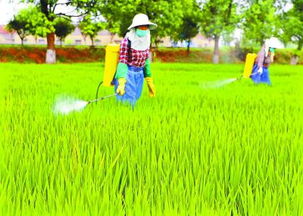 有机农药，环保又平安