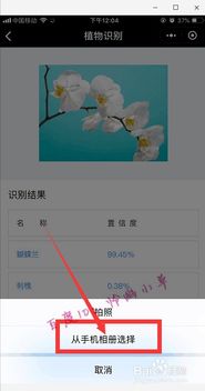 微信中的植物识别小程序