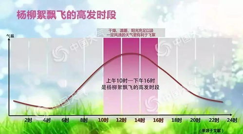 养护的小秘诀：