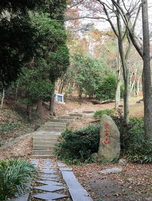 关键操作， 不可不知