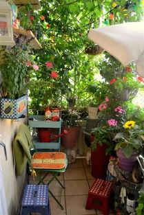 一、 阳台花架的魔法魅力