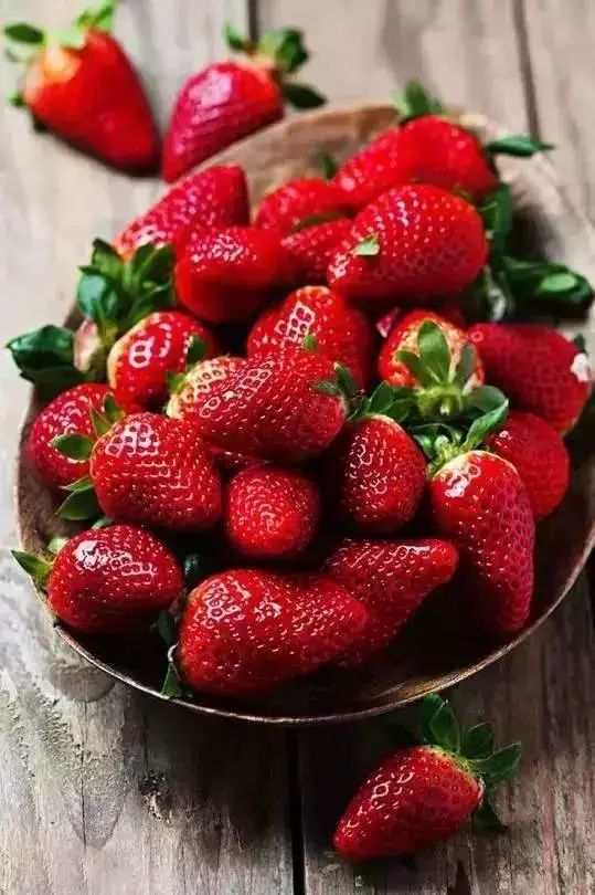 阳光草莓VS阴凉草莓，花卉新宠！