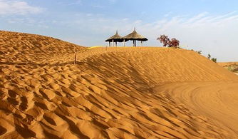 沙漠卫士：把劣势变优势