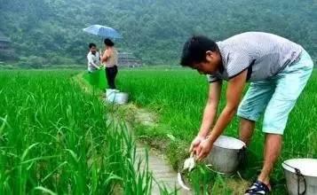 种植前拌种，种植后灌根？