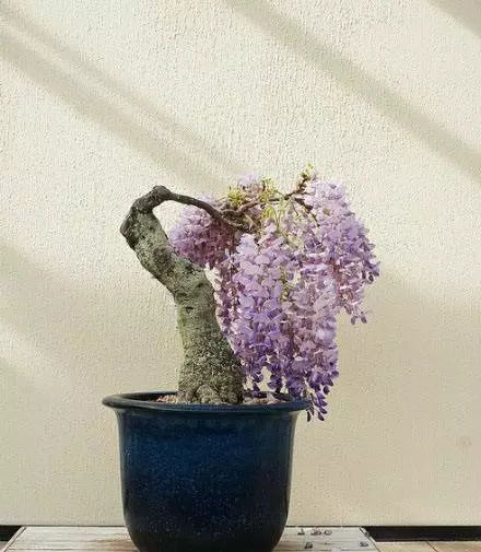 三、常见问题解答