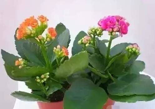 矿泉水？谨慎使用！