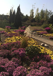 北京秋日阳台焕新， 植物种植正当时