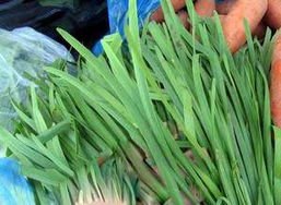 韭菜：四季常青