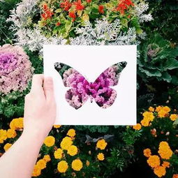 花草识别小程序：开启自然探索新维度