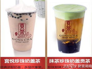 山茶油：纯天然之选，揭秘消费者热衷的真相！