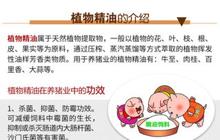 预混饲料用错会导致哪些严重后果？新手如何避免这些可怕问题？