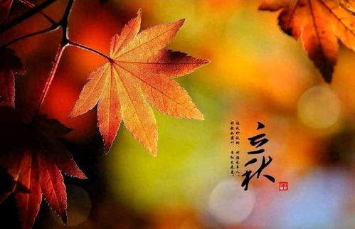 立秋以到，你家花开了吗？