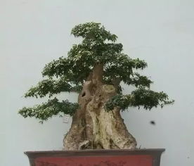 一、 选地有讲究