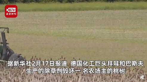 除草剂毁坏桃树事件：一场农业灾难的启示