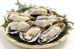 牡蛎食疗：古老偏方治疗甲亢的新探索