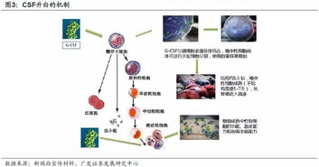 专利到期， 市场变化多端
