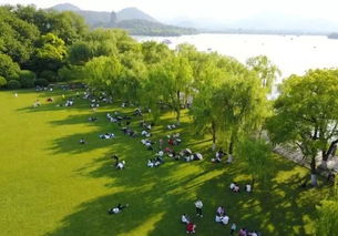 倒春寒来袭， 草坪大面积冻伤，园林工教的