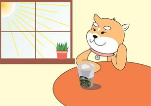 避开误区：暖气房里放窗台？NO！