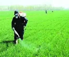 农药的正确使用方法