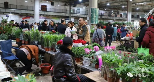 春节期间的忒别活动